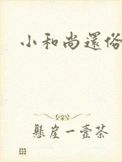 小和尚还俗记封面
