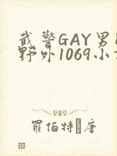 武警GAY男同野外1069小说封面