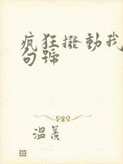 疯狂拨动我的小句号封面