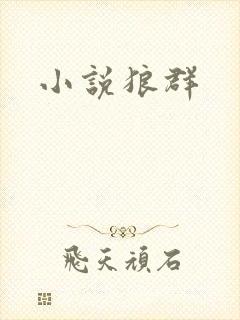 小说狼群