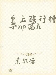 皇上强行糟蹋太子np高h