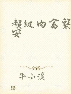 超级肉禽系统保安