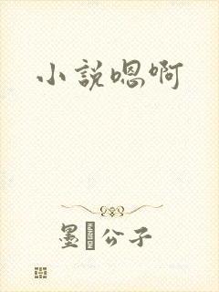 小说嗯啊封面