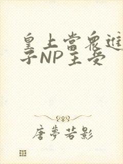 皇上当众进入太子NP主受