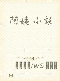 阿姨 小说