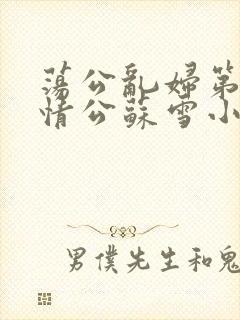 荡公乱妇第1章情公苏雪小说