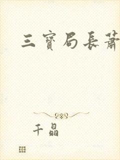 三宝局长萧燕封面