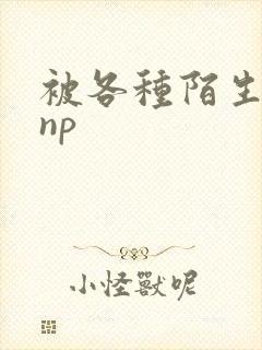 被各种陌生人 np封面