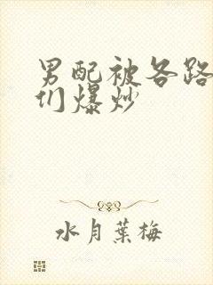 男配被各路大佬们爆炒