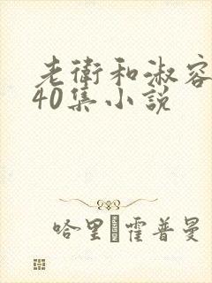 老卫和淑容1-40集小说