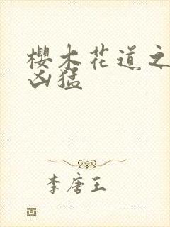 樱木花道之重生凶猛