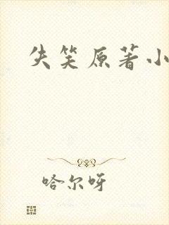 失笑原著小说封面