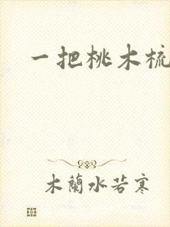 一把桃木梳封面