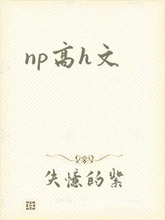 np高h文