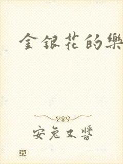 金银花的乐可封面
