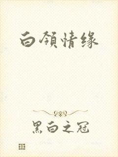 白领情缘
