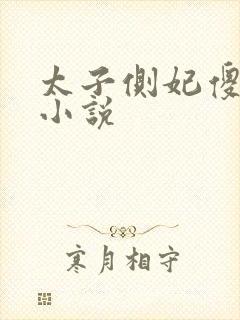 太子侧妃傻乎乎小说