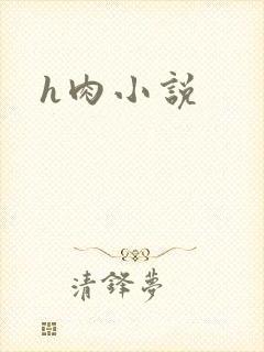 h肉小说