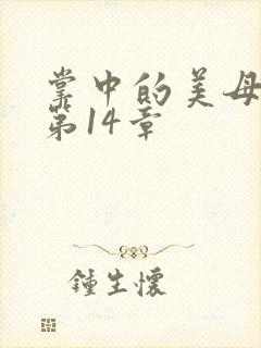 掌中的美母版主第14章