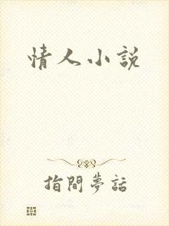 情人小说封面