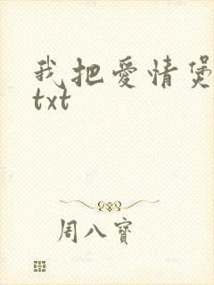 我把爱情煲成汤txt