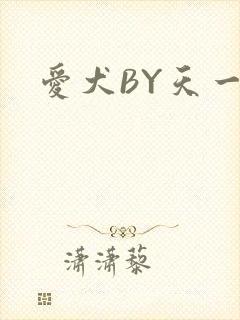 爱犬BY天一