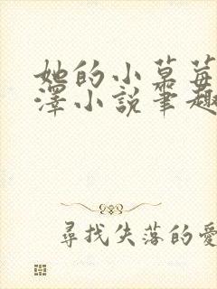 她的小草莓魏承泽小说笔趣阁封面