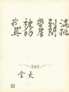 我被带到满是玩具的房间挑调作文