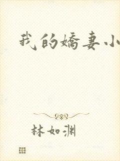 我的娇妻小说