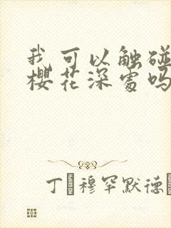 我可以触碰你的樱花深处吗封面