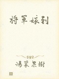 将军嫁到
