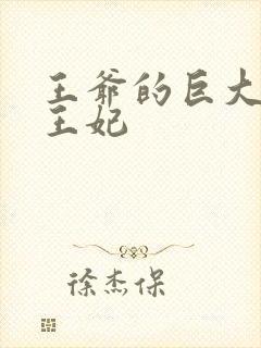 王爷的巨大进入王妃