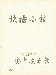 快播小说