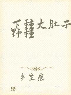 下种大肚子怀孕野种