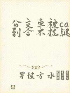 公交车被cao到合不拢腿视频封面