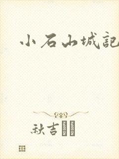 小石山城记封面