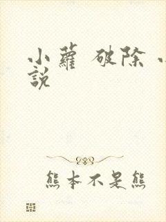小萝 破除 小说封面