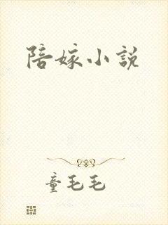 陪嫁小说