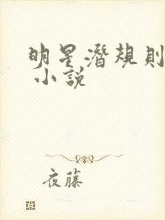 明星潜规则之皇 小说