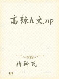 高辣h文np封面