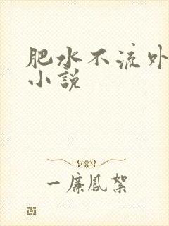肥水不流外人田小说封面