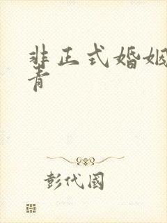 非正式婚姻雾里青封面