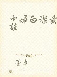 少妇白洁黄色小说