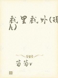 戏里戏外(现场h)