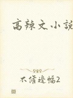 高辣文小说