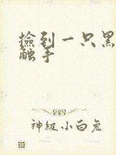 捡到一只黑心小触手