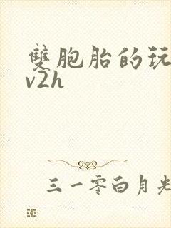 双胞胎的玩具1v2h