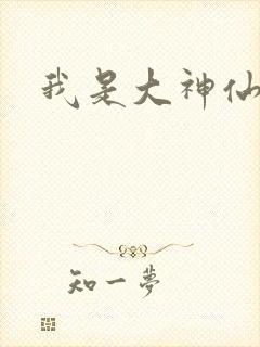 我是大神仙小说封面