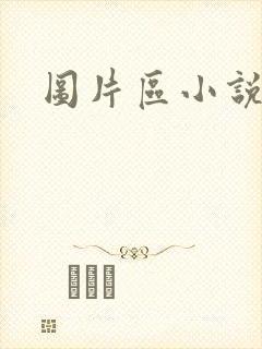 图片区小说区封面