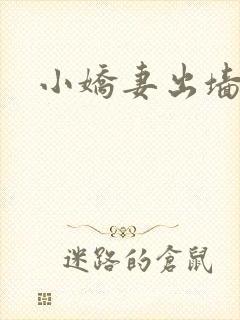 小娇妻出墙记